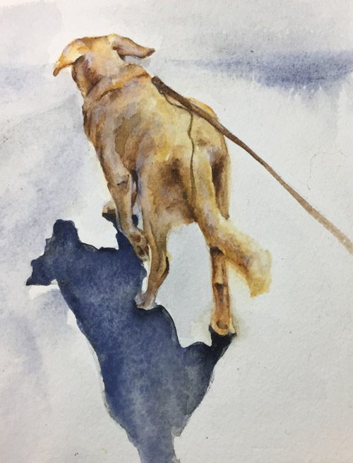 Get Movin' with Moose watercolor by Shannon